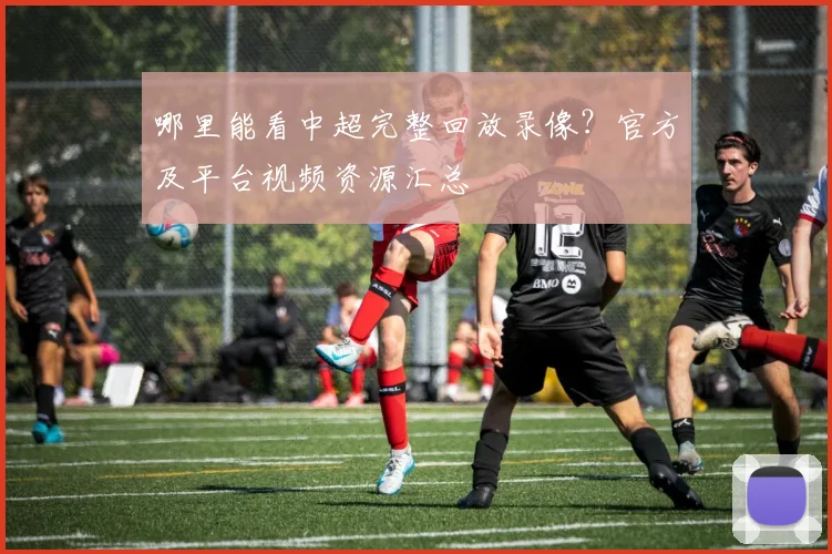 哪里能看中超完整回放录像？官方及平台视频资源汇总