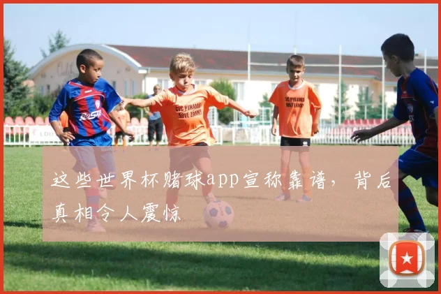这些世界杯赌球app宣称靠谱，背后真相令人震惊