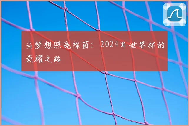 当梦想照亮绿茵:2024年世界杯的荣耀之路