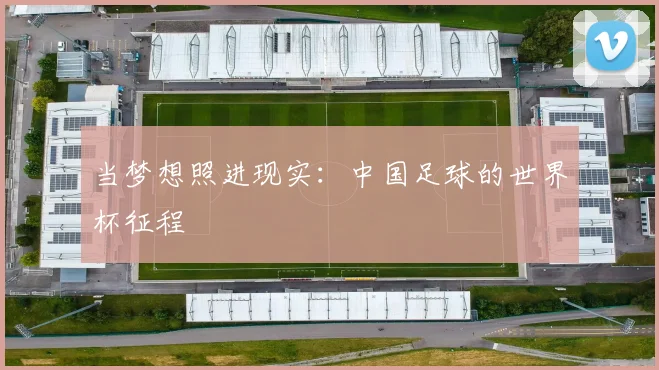 当梦想照进现实：中国足球的世界杯征程