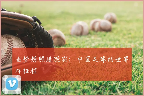 当梦想照进现实：中国足球的世界杯征程