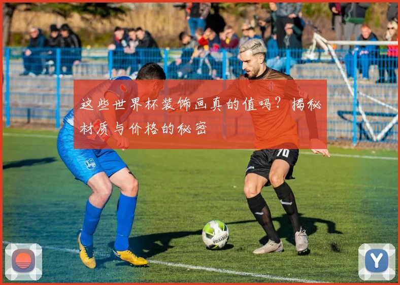这些世界杯装饰画真的值吗？揭秘材质与价格的秘密