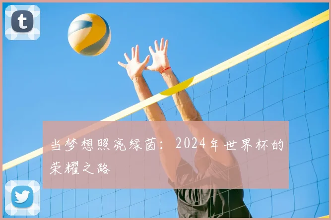 当梦想照亮绿茵:2024年世界杯的荣耀之路